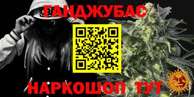 индика Обь