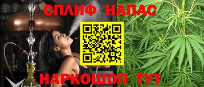 индика Обь