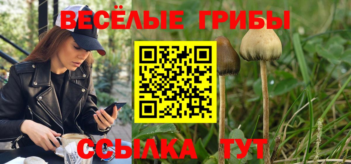 Псилоцибиновые грибы Psilocybine cubensis  Галлюциногенные грибы Psilocybe  Спасск-Дальний  Вход с VPN 