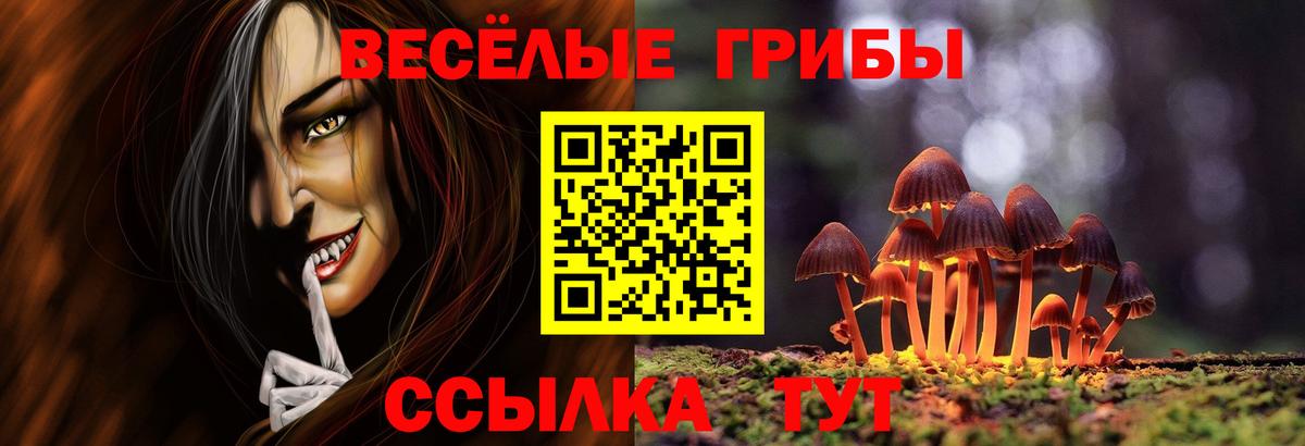 Псилоцибиновые грибы мицелий Спасск-Дальний